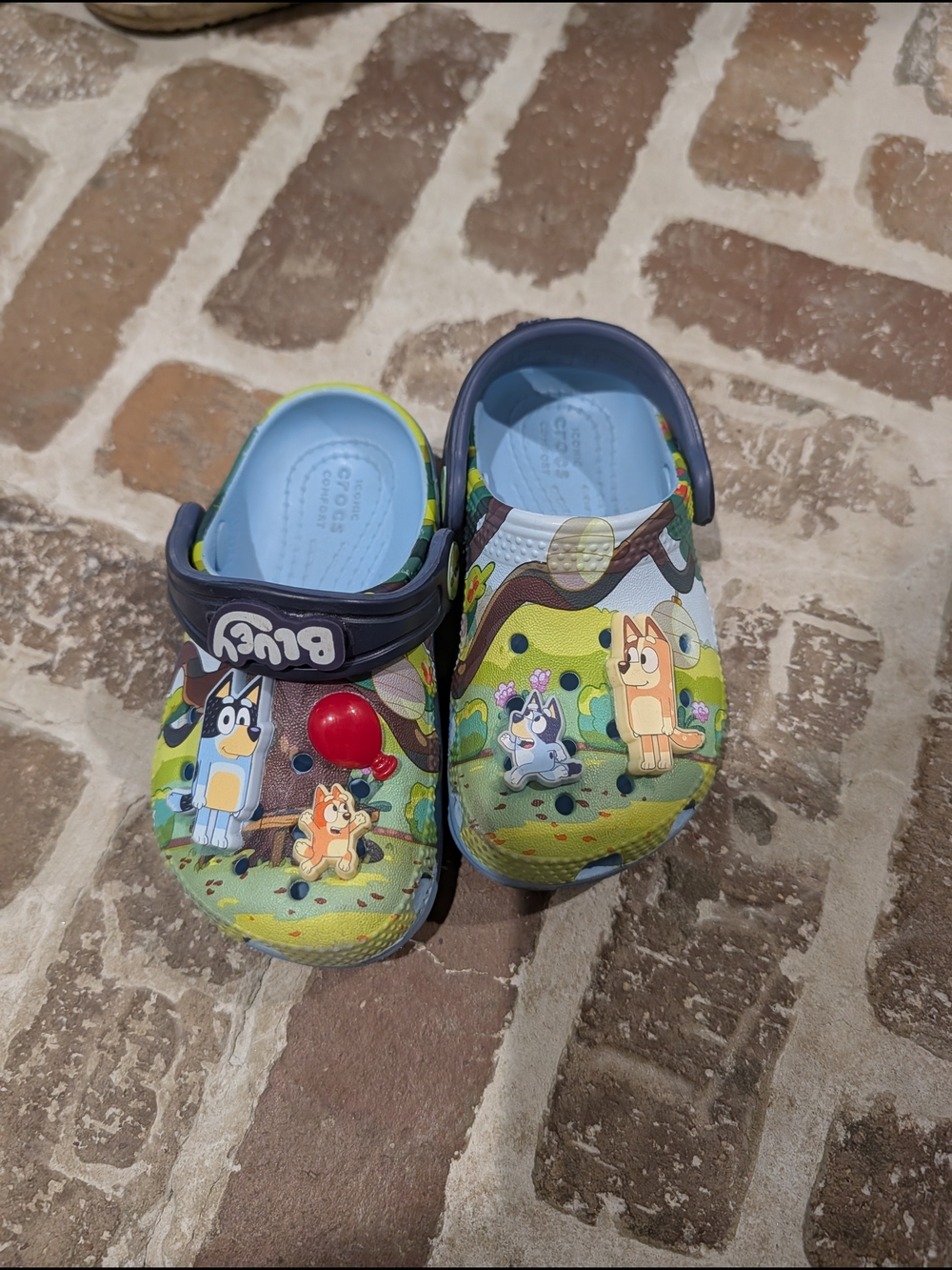 Toddler Bluey Crocs Classic Clog